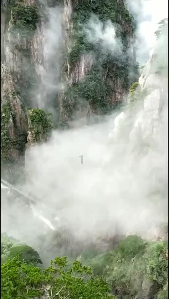 1680元哈尔滨纯玩团,早餐给稀饭馒头?文旅局回应!避雷!哈尔滨市旅游协会公布:旅行社投诉量前十名单……